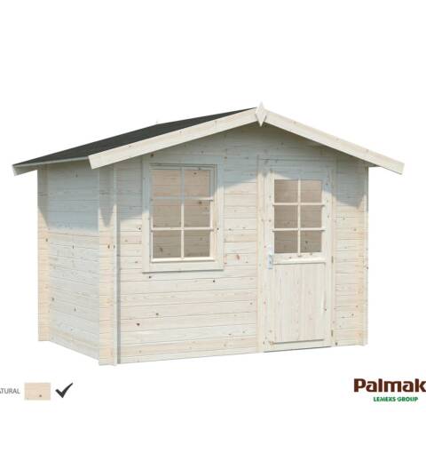 ABRI DE JARDIN 2 PENTES